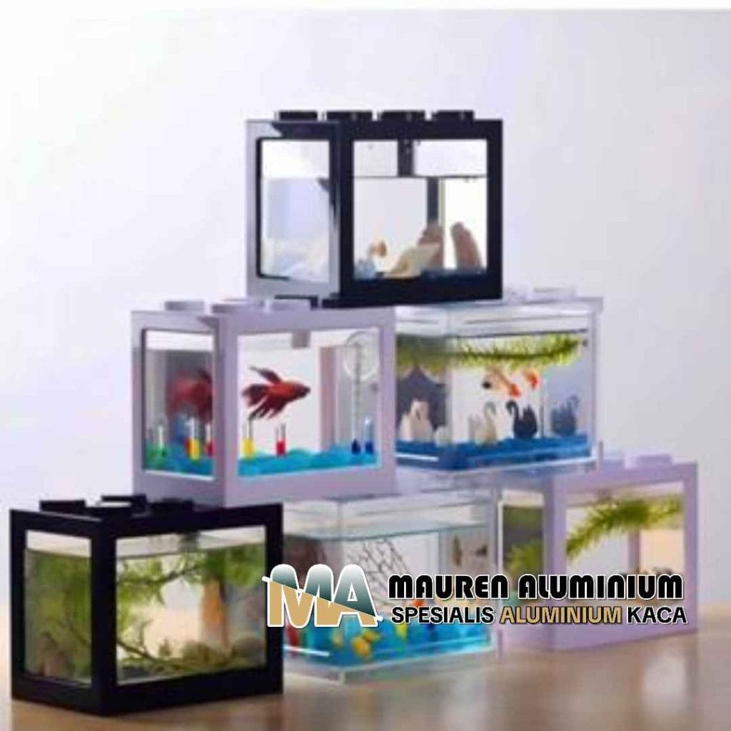 Toko Kaca untuk Aquarium Ikan Cupang Desain Unik Jakarta