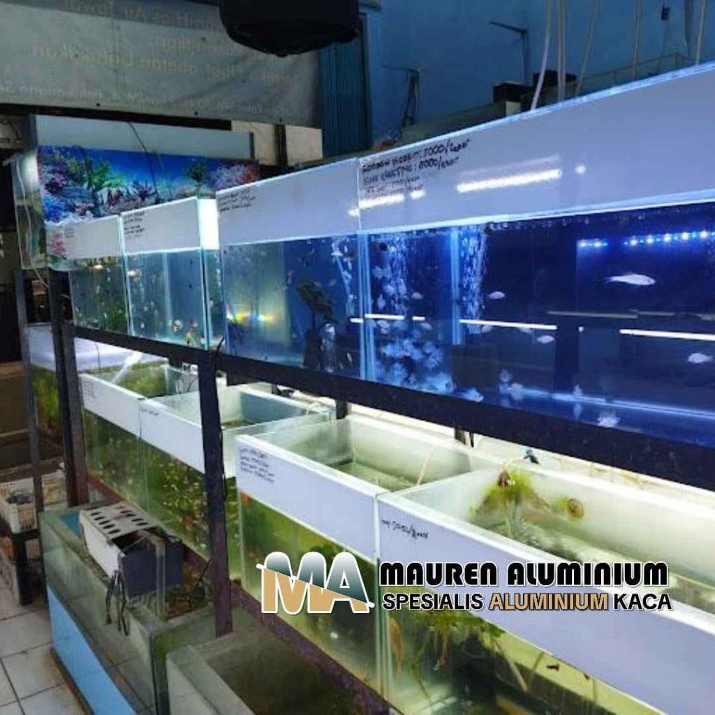 Toko khusus kaca aquarium ikan cupang custom di Bekasi