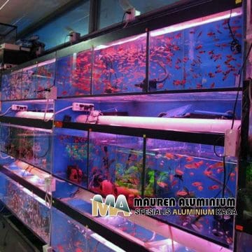 Toko Kaca untuk Aquarium Ikan Cupang Desain Unik Jakarta Toko Kaca untuk Aquarium Ikan Cupang Desain Unik Jakarta