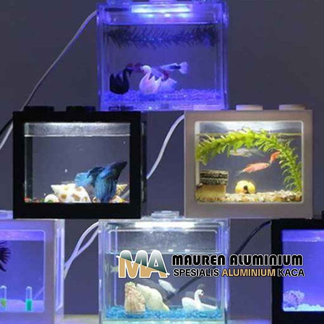 Toko khusus kaca aquarium ikan cupang custom di Bekasi Toko khusus kaca aquarium ikan cupang custom di Bekasi